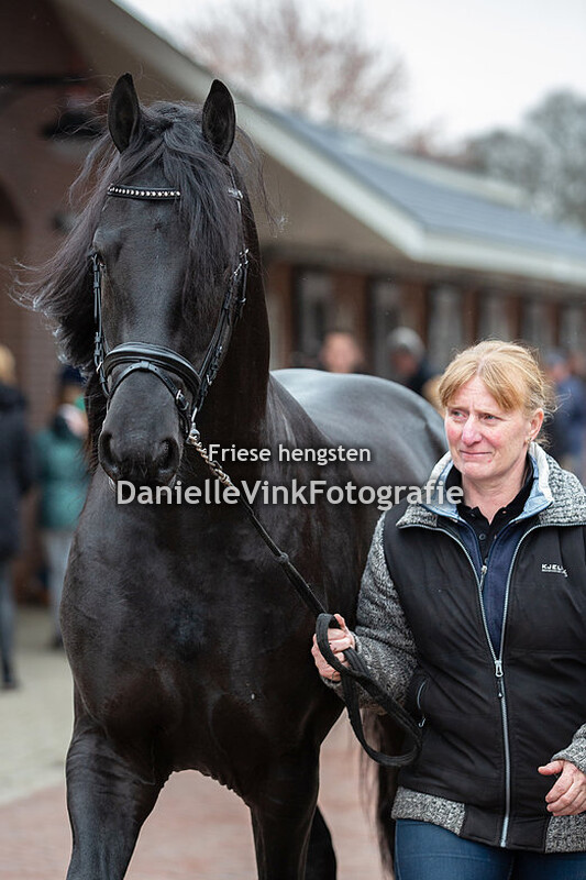 Hengstenshow Lunteren  02-04-2018 - Tjebbe 500