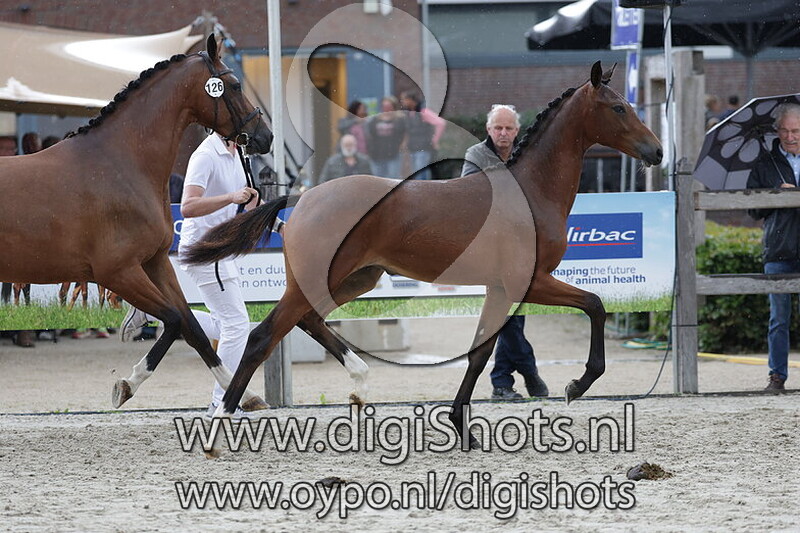 Vajen van de Stikelpleats v. Barton VDL