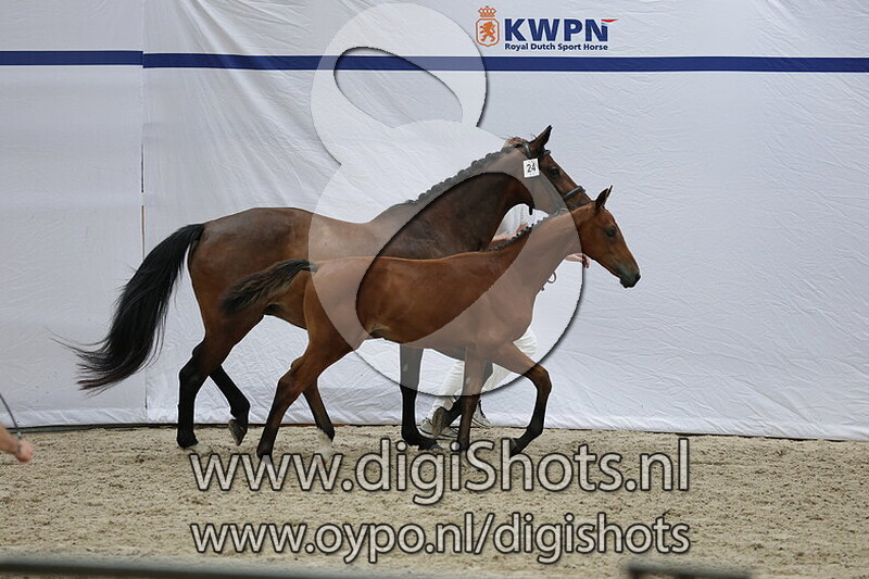 Vamira M v. United Touch S