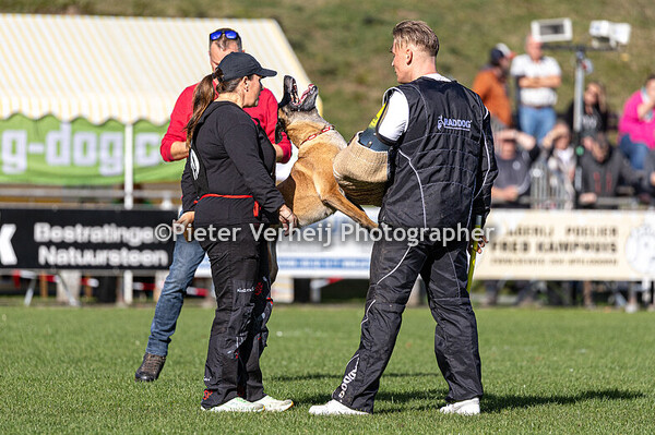 Kelly Monaghan With Jakarta Ostraryka