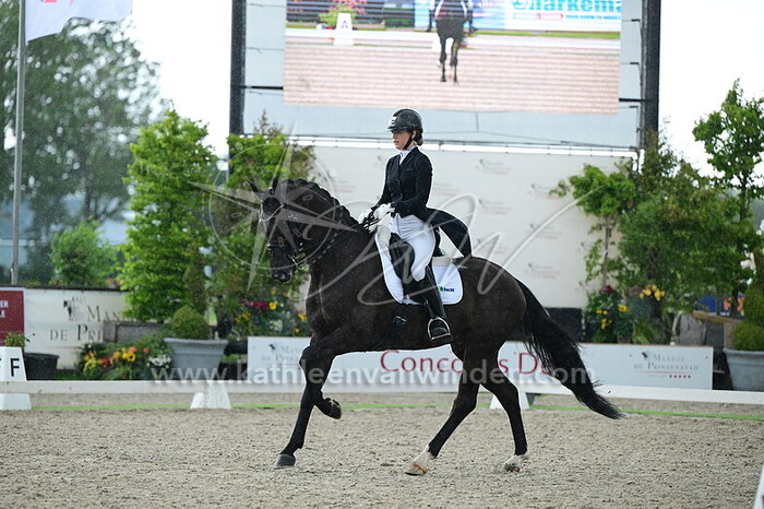 Aniek de Laat - Newton M