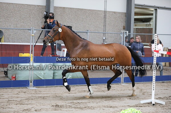 14 Madeleine M v Desperado