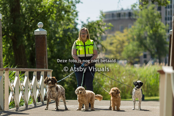 Angela's Hondenservice