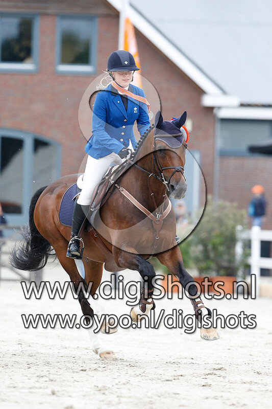 Springen B Paarden