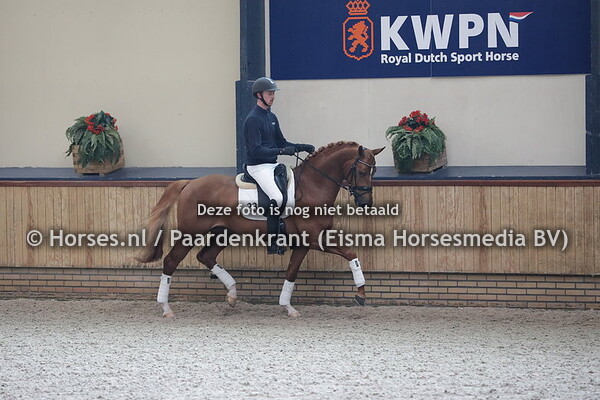 33 Night Shadow (Guardian x Florencio)