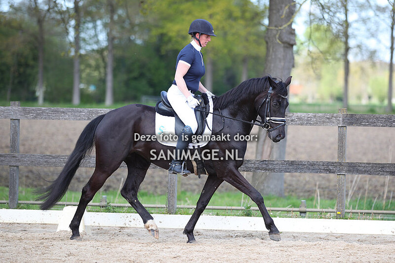 Manege Groenewoude Dressuur 30-04-2023 Middag (Ring 2)