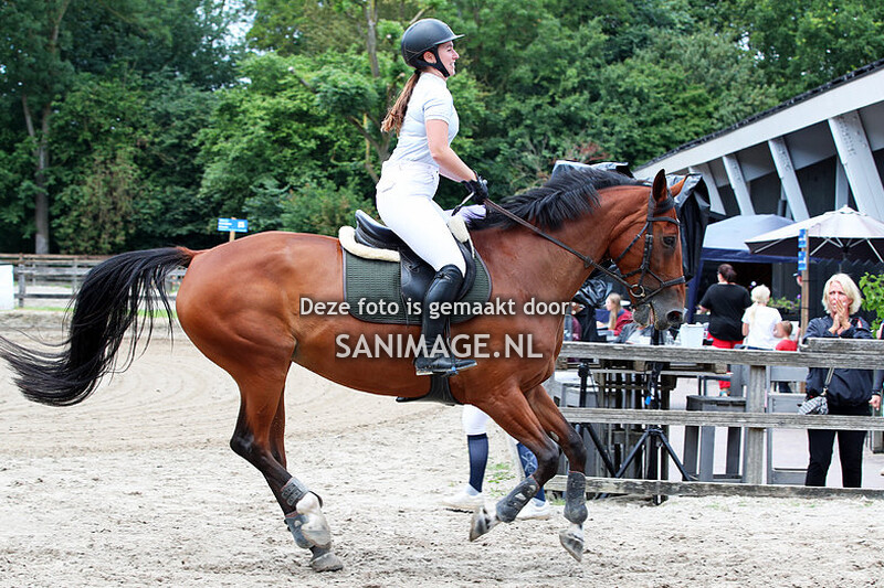 PV Midland Zomerconcours 02-07-2023 80 cm