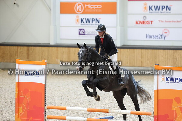 10 Lancaster VDL (Landino VDL x Cardento)