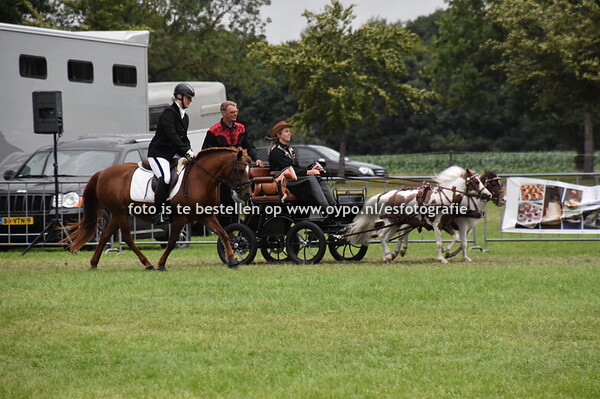 5-7-2025 Ringsteken Wijnjewoude