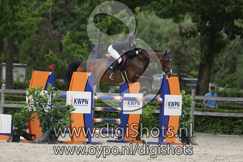 Vdl groep prima donna