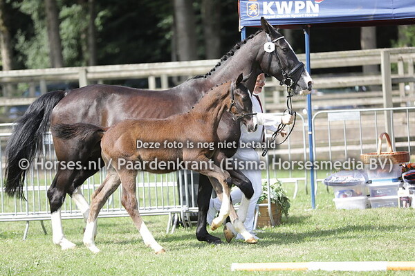 4 Viktor van de Klaverbron
