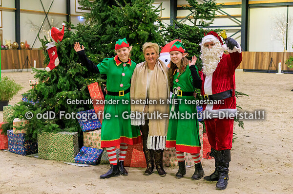 Green Valley Kerst Trophy Pony's 80cm 22-12-24