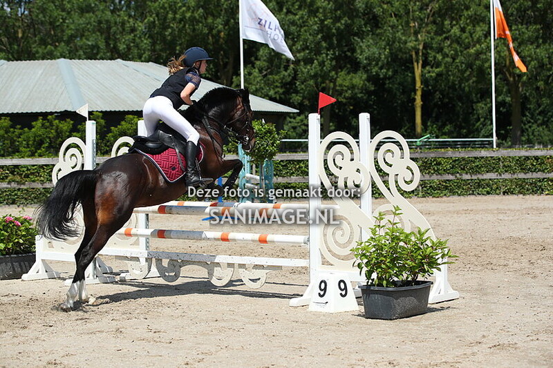 Zilfia's Hoeve Springen Pony's 29-06-2025 90 cm