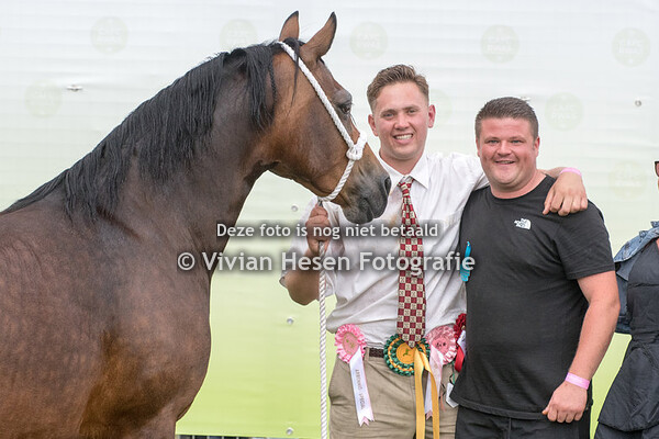 Section D Male & Overall Championship