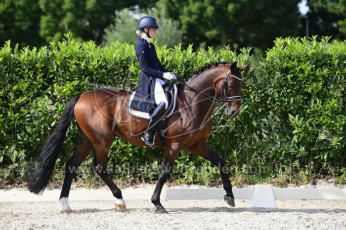 Nardien Edens - Secret Service