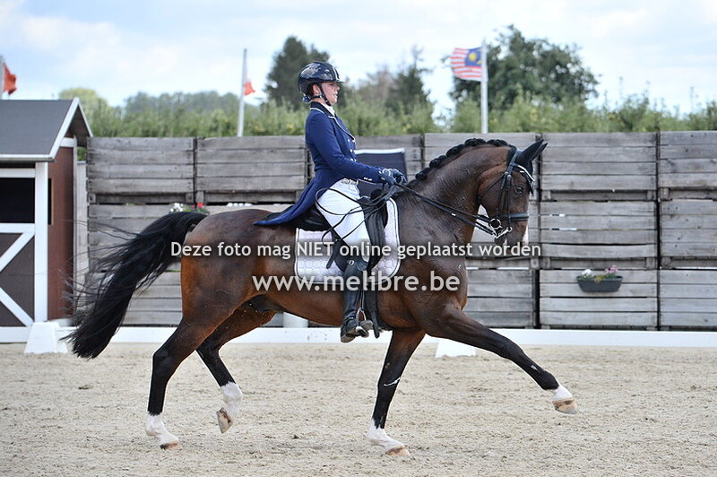 Freestyle Grand Prix