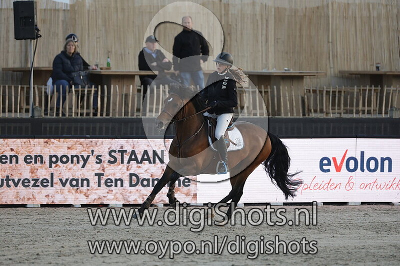 Heihoeve's Berlin VDH