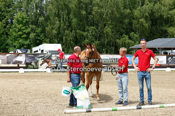 12. MERRIES VAN 4 JAAR EN OUDER JAAR SPRINGEN