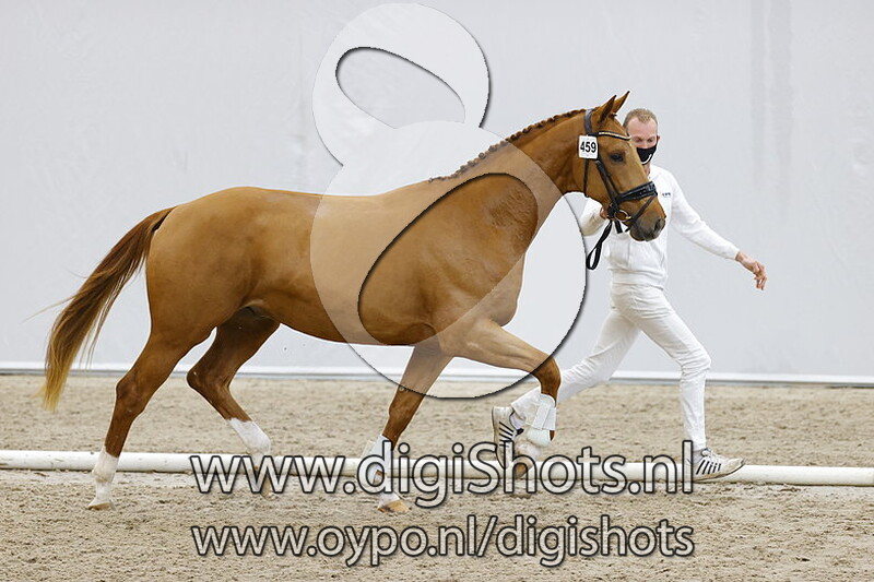 Nairo ND v. Hennessy