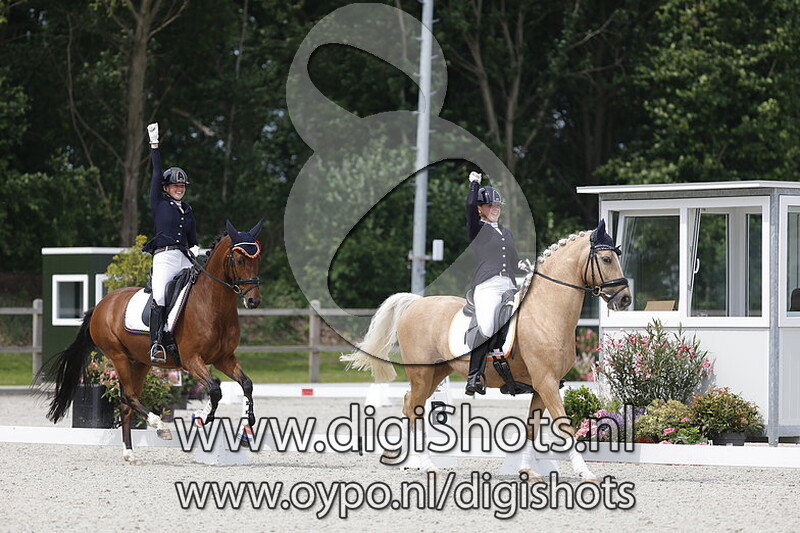 Don Davino Horsepoint