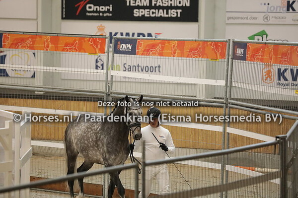 546 Everest (Especial x Fresia v. Negro)