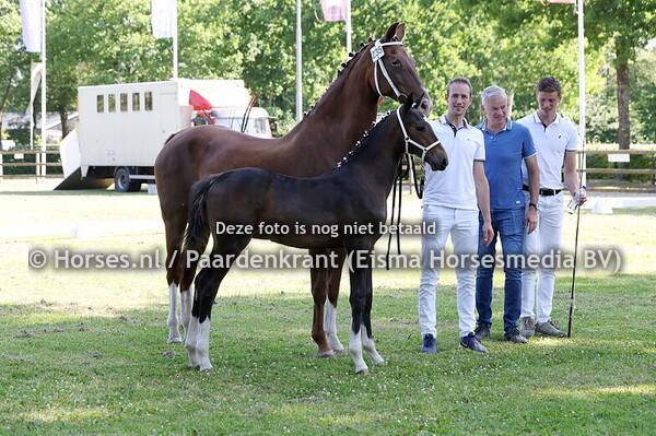 235 Vareda (Idol x Gareda v. Cizandro)