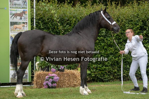 Regionale Keuring Heteren