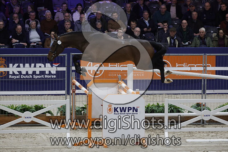 Pasquino van de Hagenhorst v. Hardrock Z -101