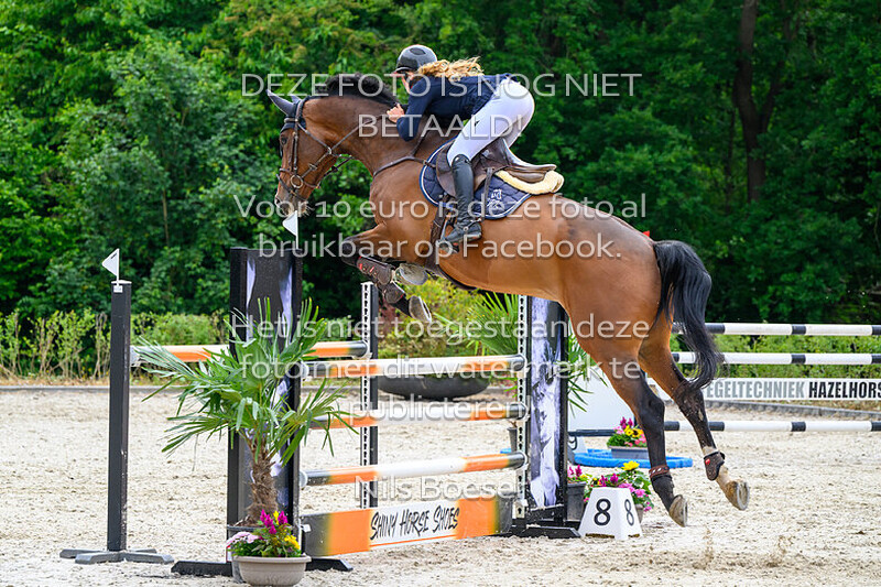 15 Klassiek paarden 1.20 m MB-ZB