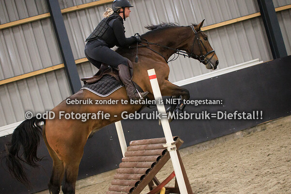 Groep 5 13:30 Laura Hoogeveen