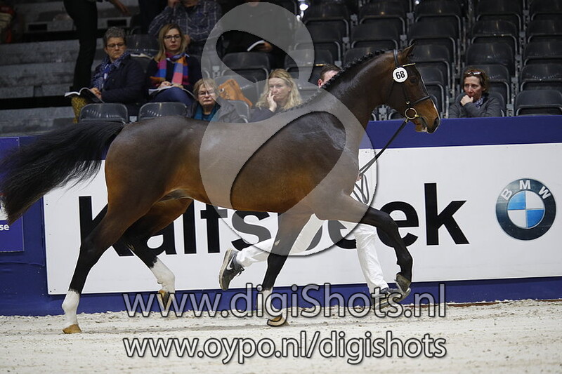 Lornet Balou E v. Cornet's Balou