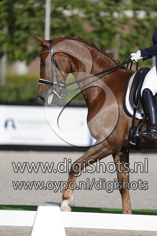 Cordillio van de Kempenhoeve