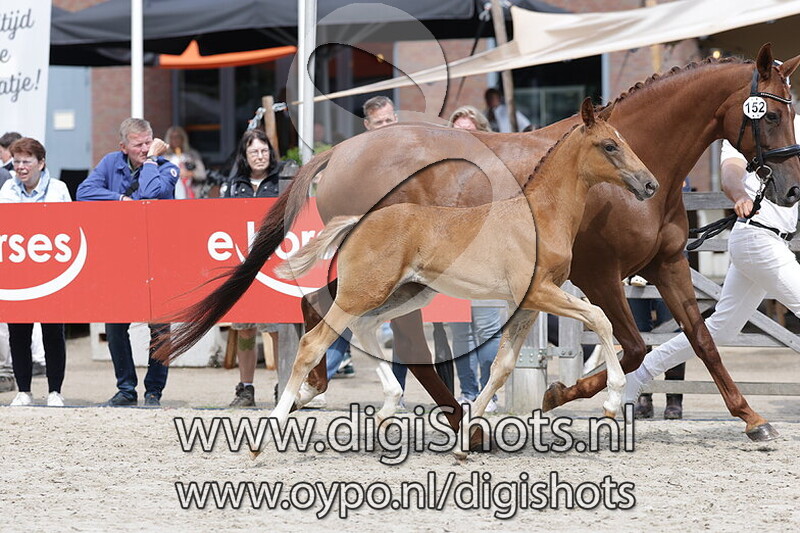 Viva Cecilia JVW v. Osaka