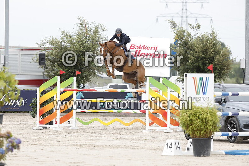 ester dammam blekkink