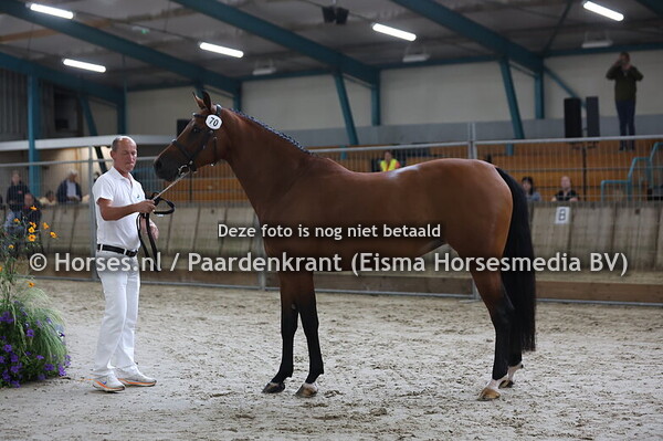 70 Ocvean's Diamond (Ice Breacker x Deluxa v. Douglas)