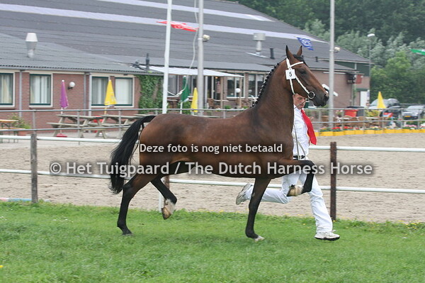 Cidalburga (v. PLain's Liberator)