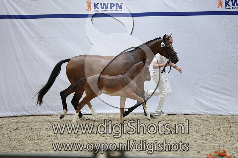 Vive Lamorka R v. Mindset ES