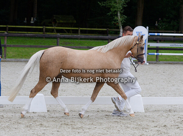 Sectie B keuring, 02-08-2025