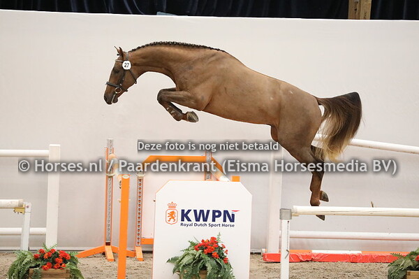 27 Carambole x Indoctro