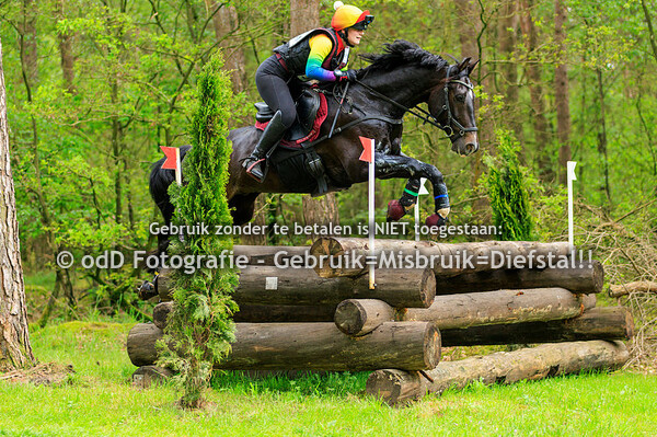 Grandorse Horse Trials Paarden Z 05-05-24