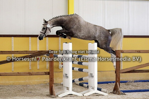 167 (Merlien (Casago x Paulien v. Karandasj)