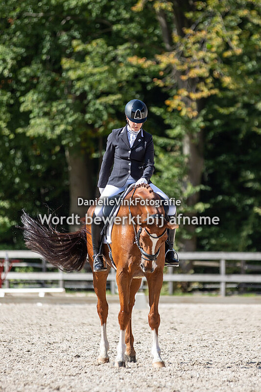 Annemarjet Brandt - Cash