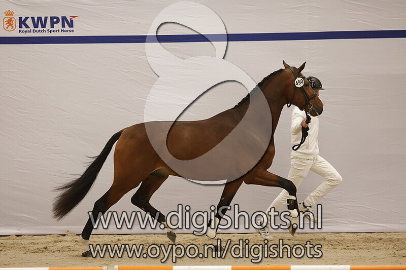 Scoops Bloemendael v. Secret