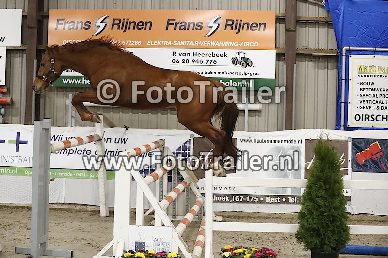 982 - Okee van den Dael