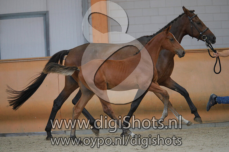 New Jersey vd Molendreef v. Nixon van het Meulenhof