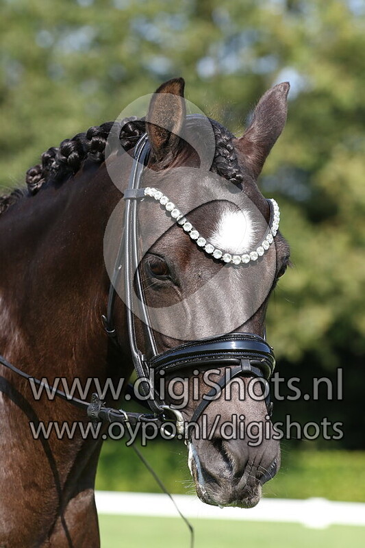 Ring 8 's middags vanaf 13.30