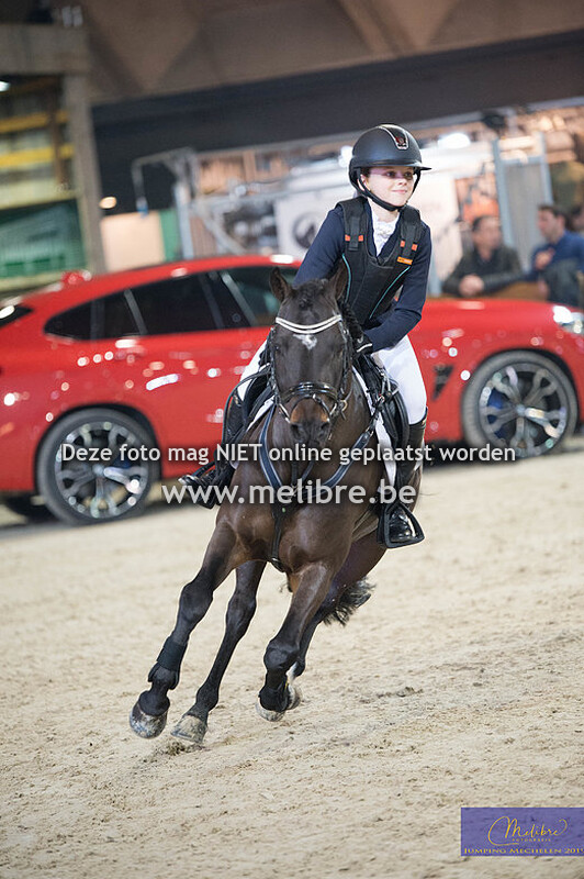 Belgische rijpony - Prijsuitreiking