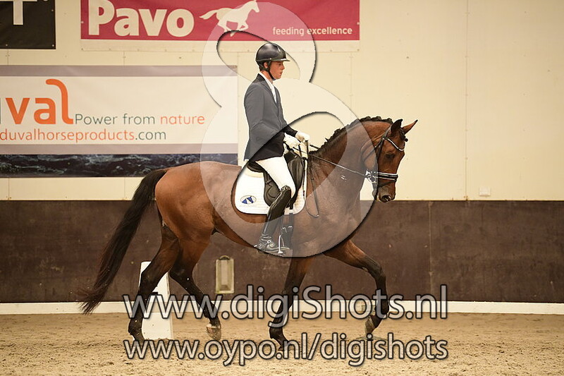 Let's Go vd Wolfshoeve