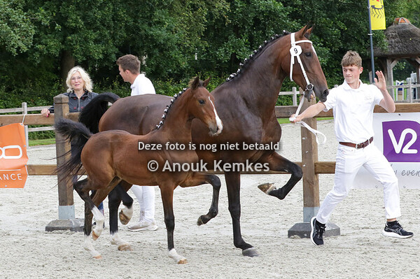 009 - UGEA MACHO X IDOL SJ. CAZEMIER, JONKERSVAART