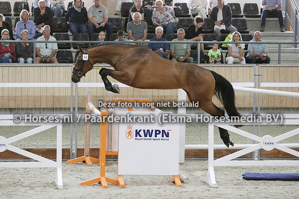 44 Nice SF (Chapeau x I-Nina Ricci v. Numero Uno)